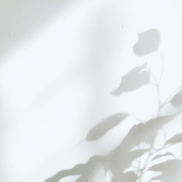 milad-fakurian-UqP7U400AZs-unsplash (1) JeuDerm - testas